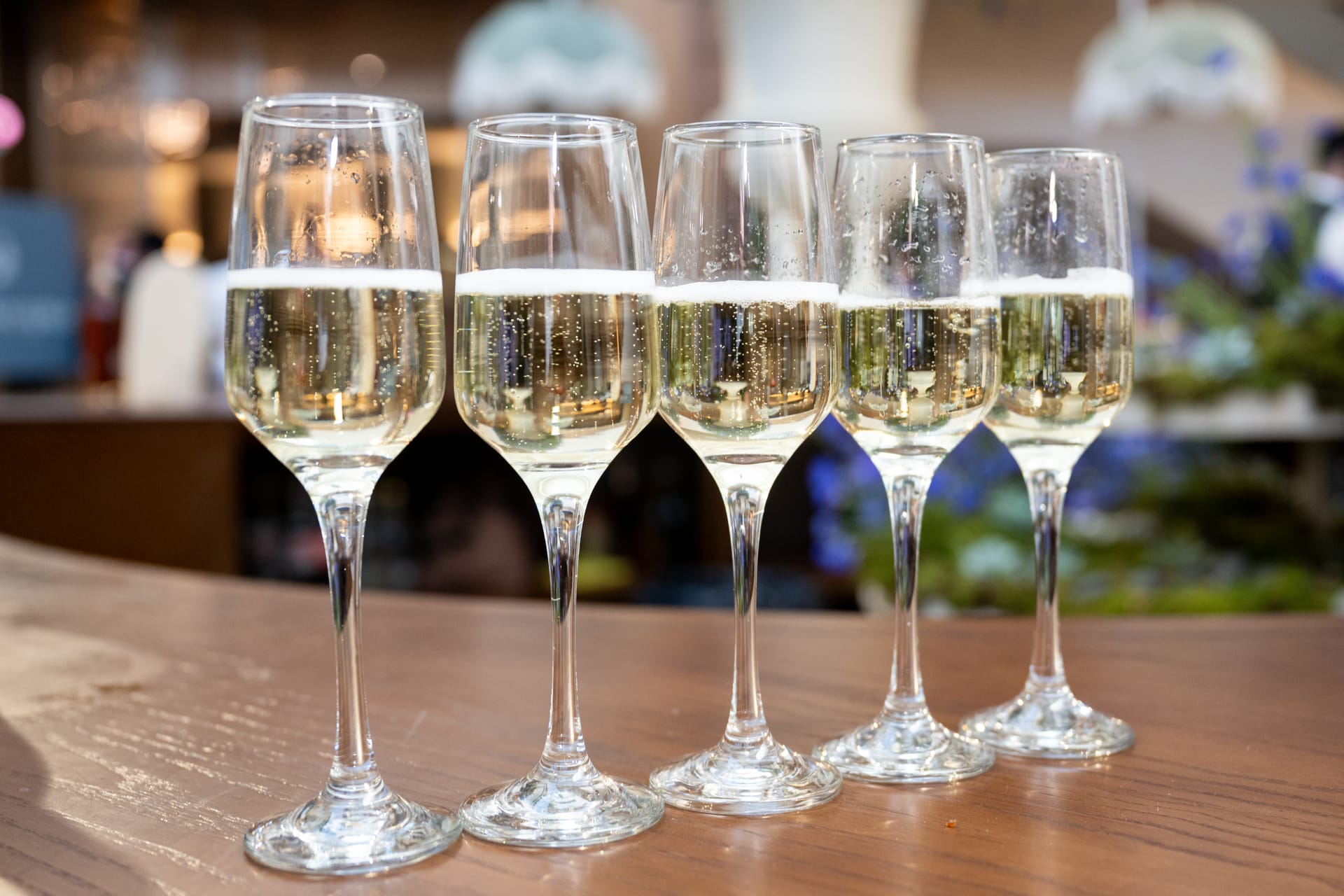 Five glasses of champagne on the bar