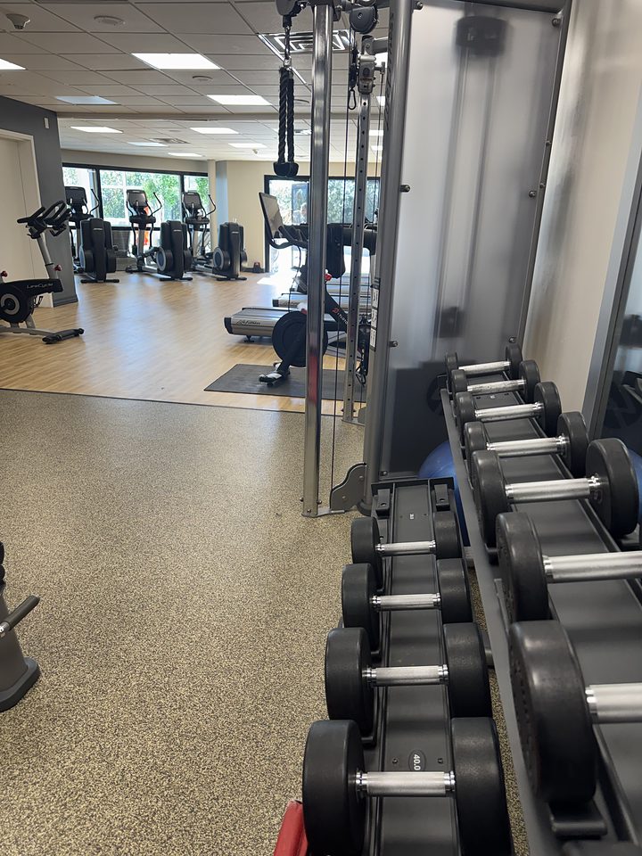 A rack of dumbbells